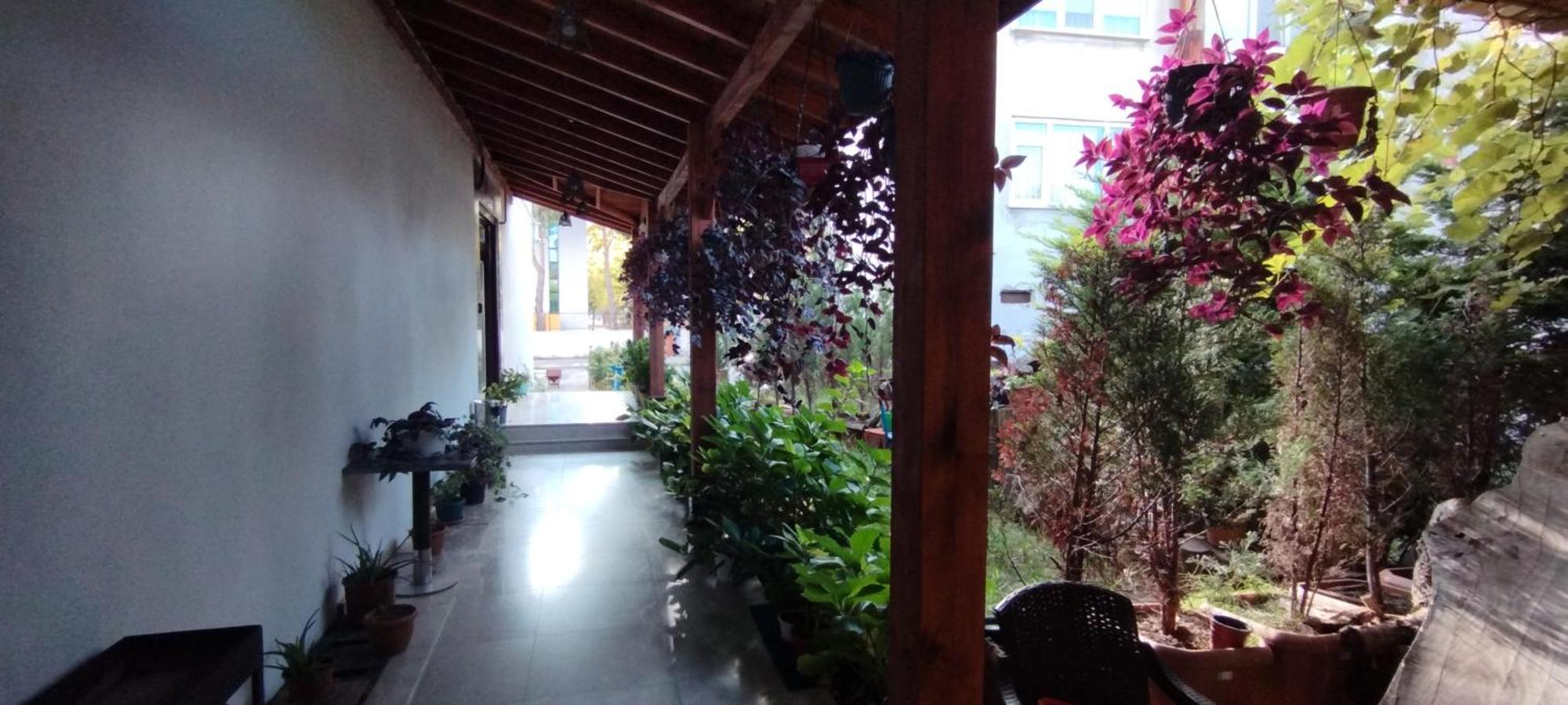 Ceneviz Suit Hotel Akcakoca Luaran gambar